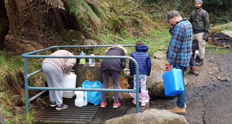 Fresh Water Spring Midway at Mount Donna Buang